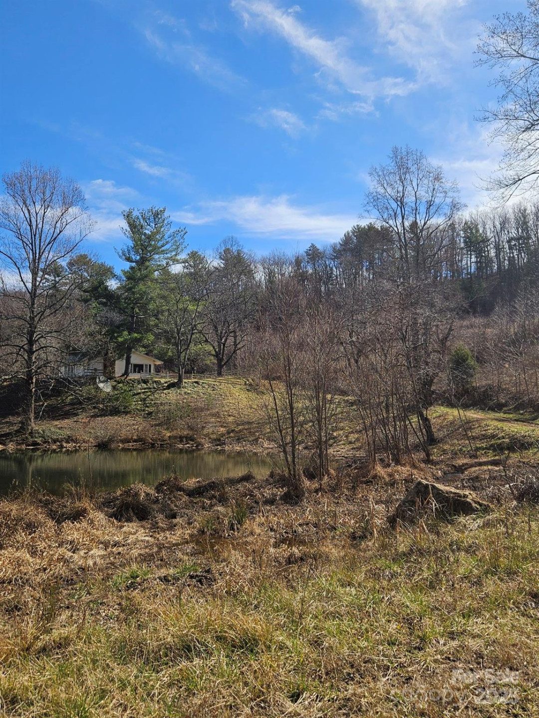 2909 Pine Mountain Drive - Photo 9