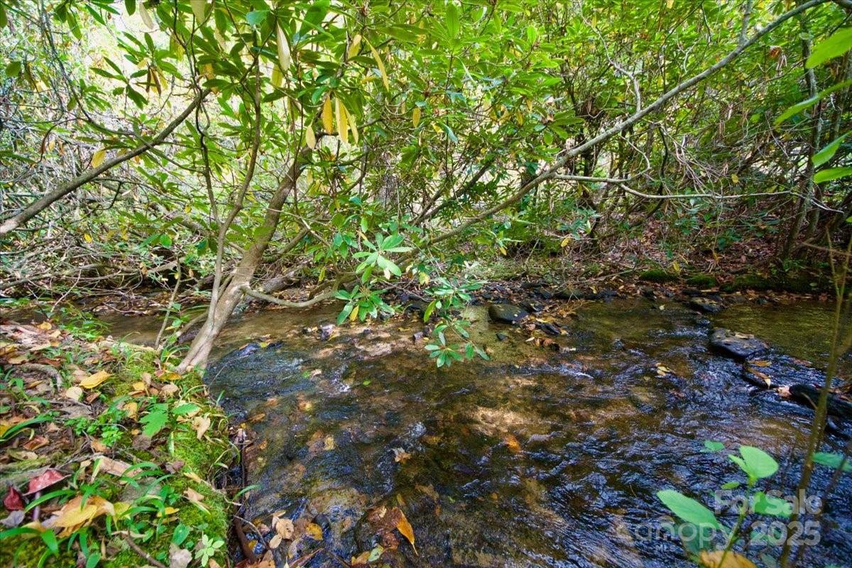 5580 Greenville Highway - Photo 45