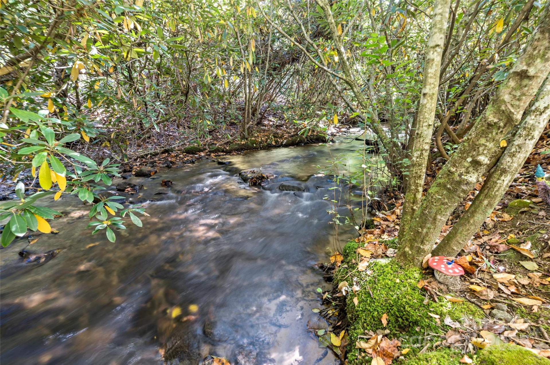 5580 Greenville Highway - Photo 47