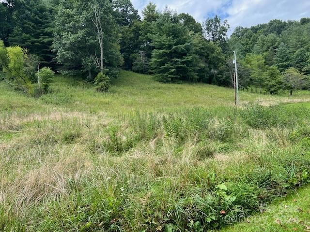 1030 Long Branch Road - Photo 15