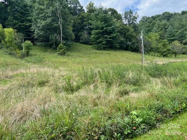 1030 Long Branch Road - Photo 15