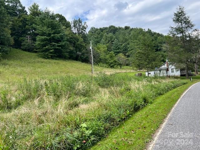 1030 Long Branch Road - Photo 16