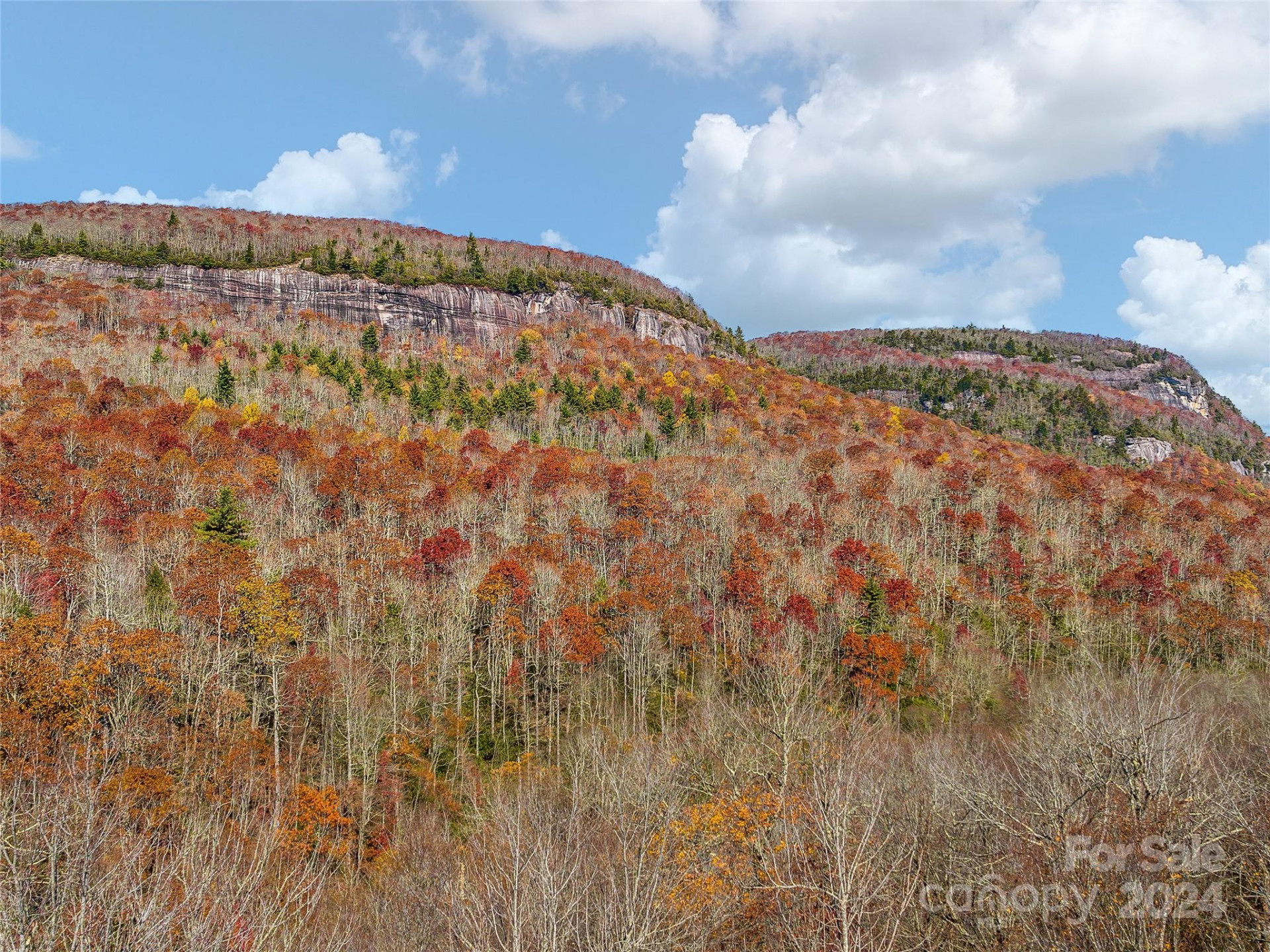 TBD Cold Mountain Road #Hilltop Camp