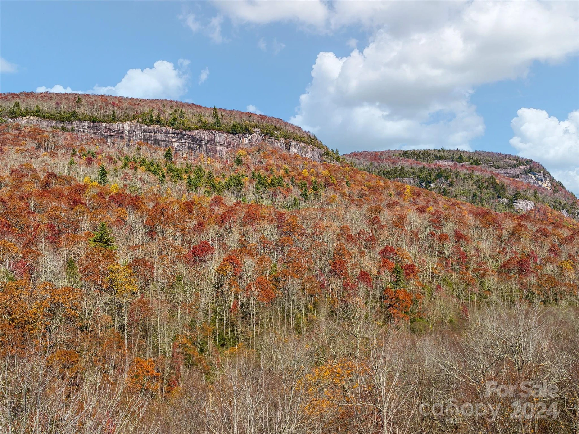 TBD Cold Mountain Road #Hilltop Camp