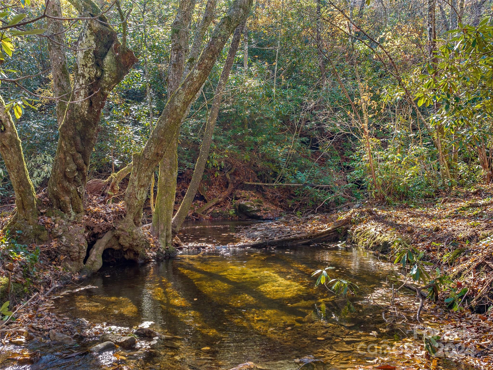 TBD Cold Mountain Road #Hilltop Camp - Photo 2