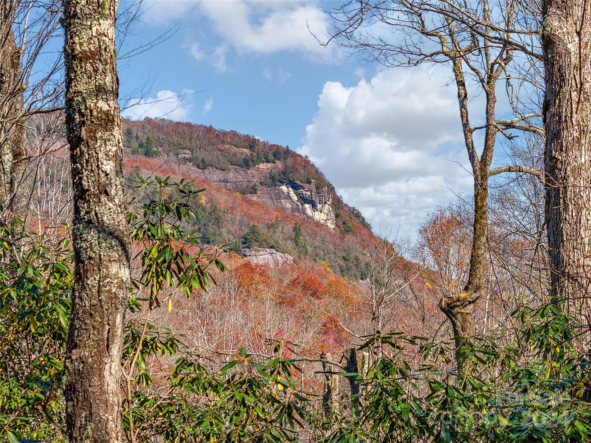 TBD Cold Mountain Road #Hilltop Camp - Photo 4