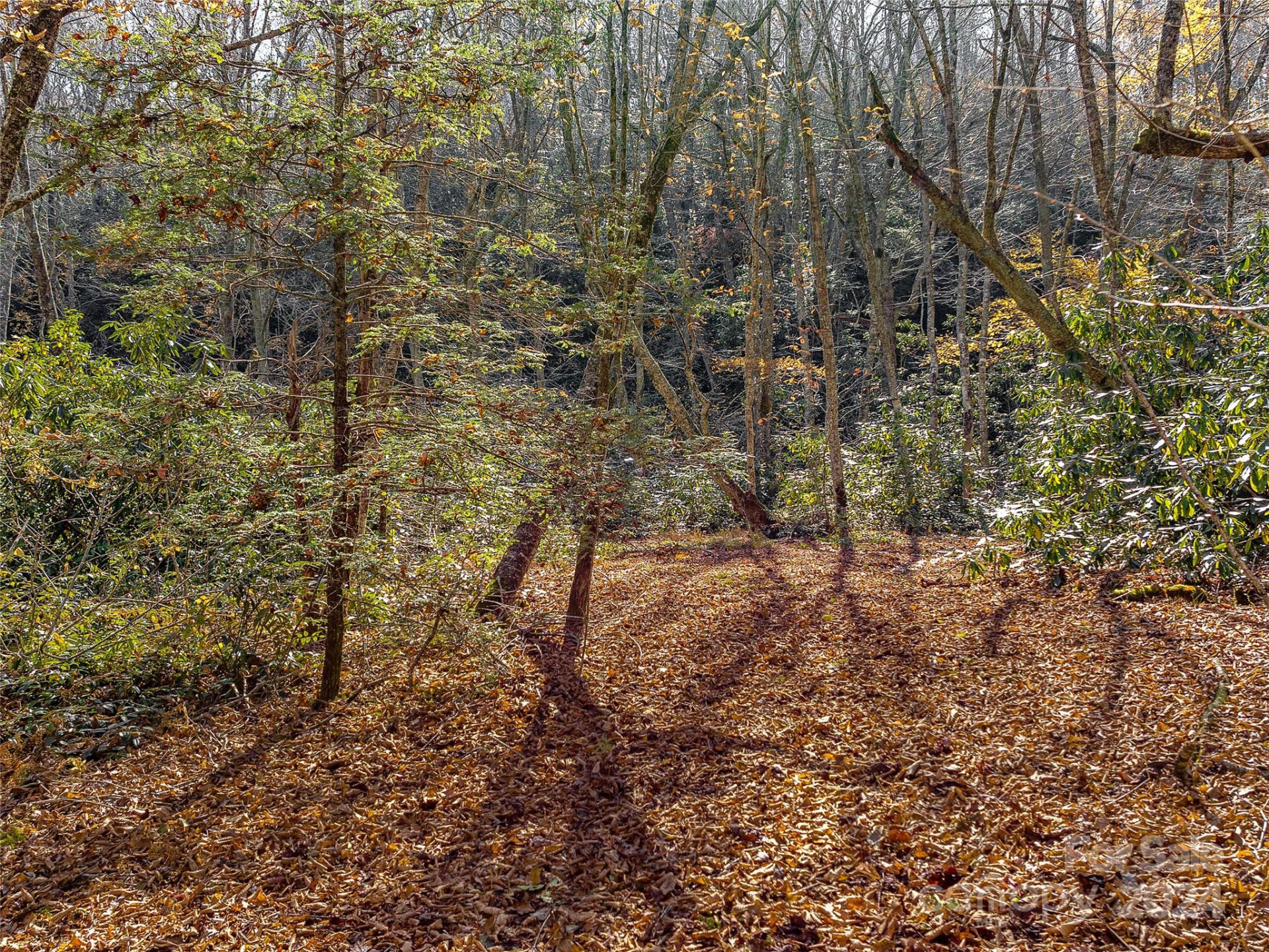TBD Cold Mountain Road #Hilltop Camp - Photo 5