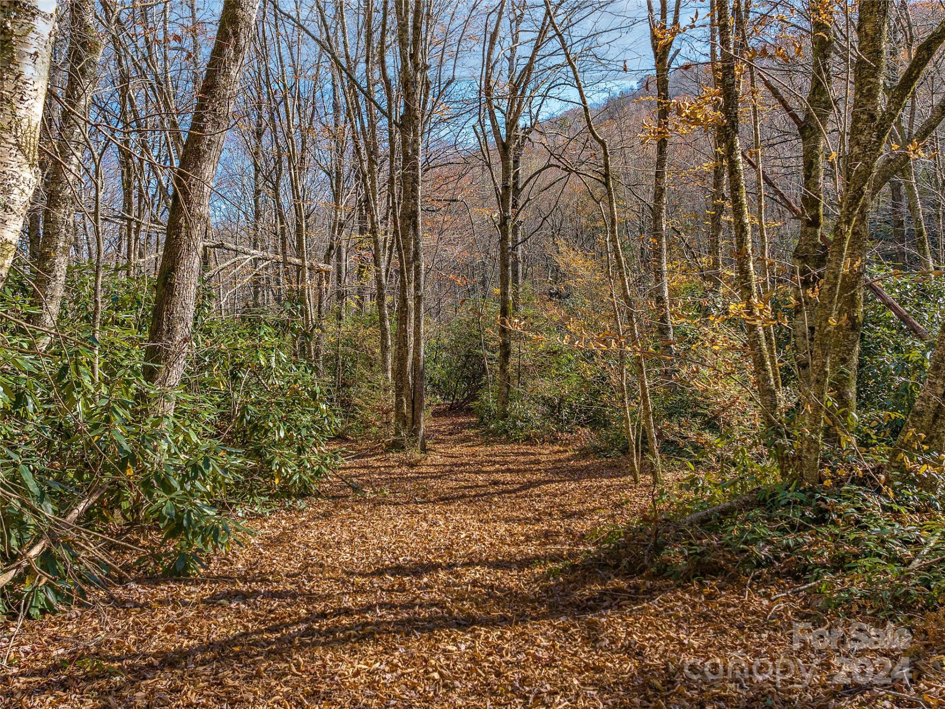 TBD Cold Mountain Road #Hilltop Camp - Photo 6