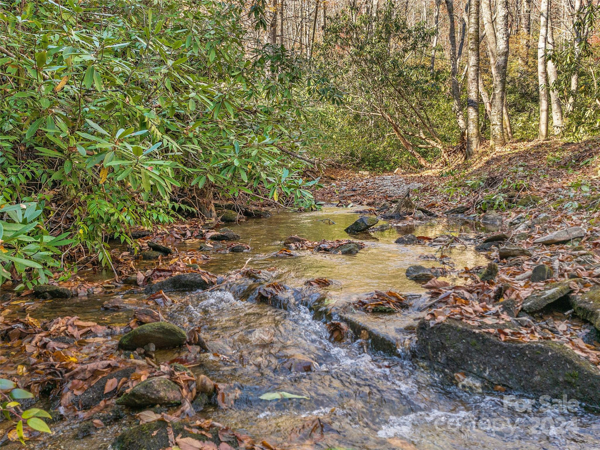 TBD Cold Mountain Road #Hilltop Camp - Photo 7