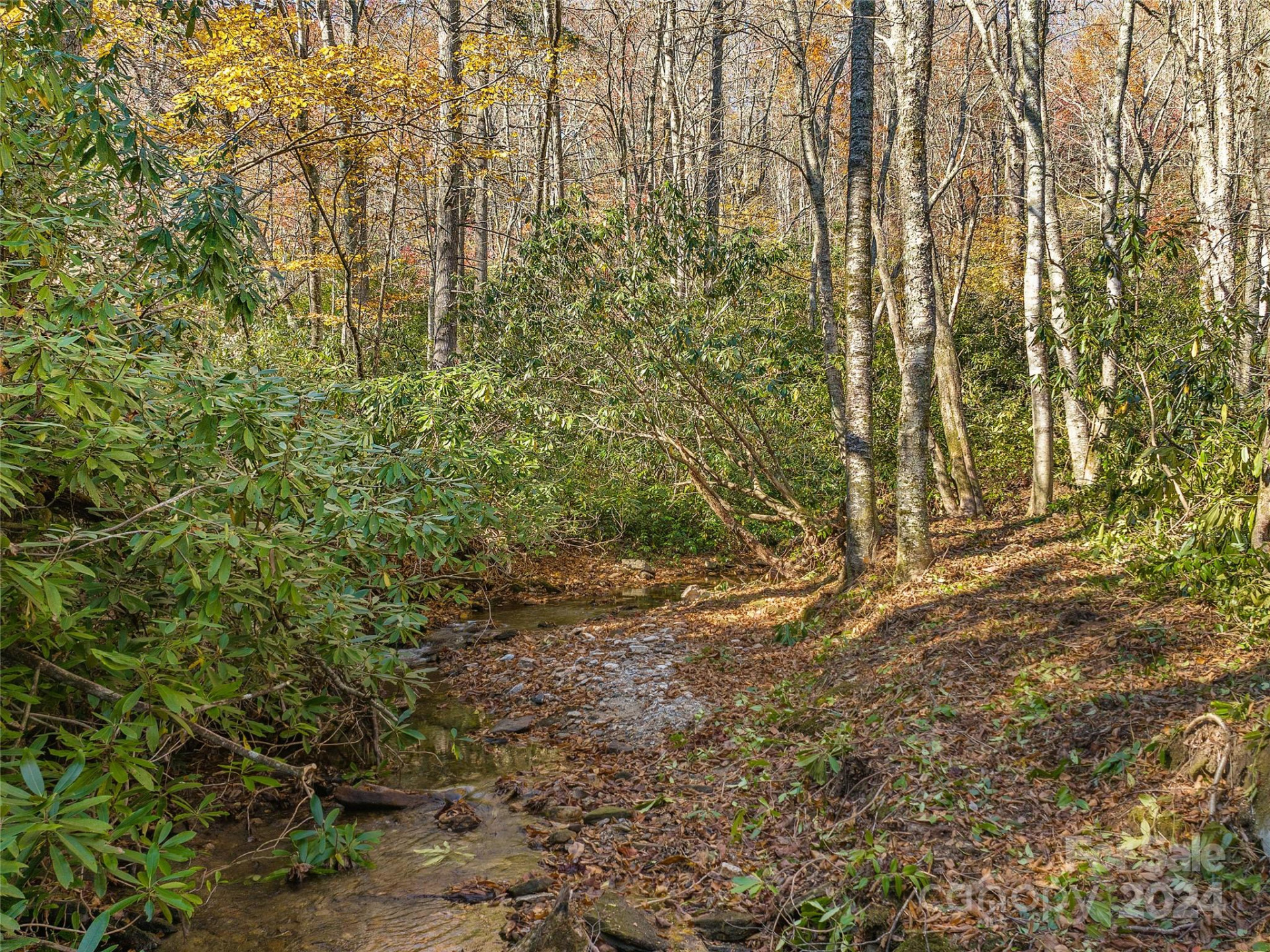 TBD Cold Mountain Road #Hilltop Camp - Photo 8