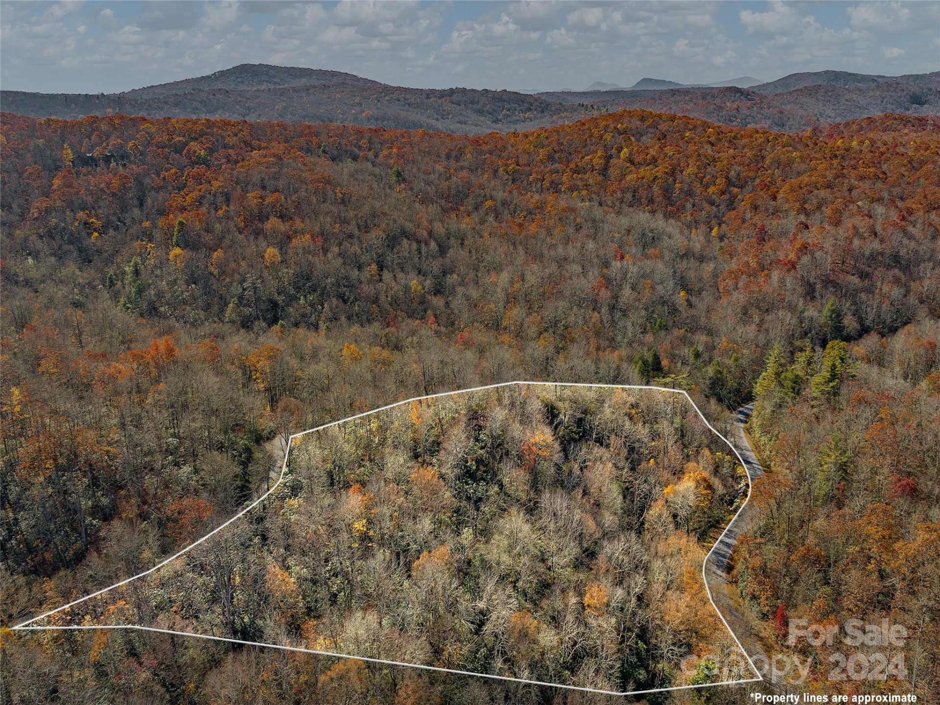 TBD Cold Mountain Road #Hilltop Camp - Photo 9