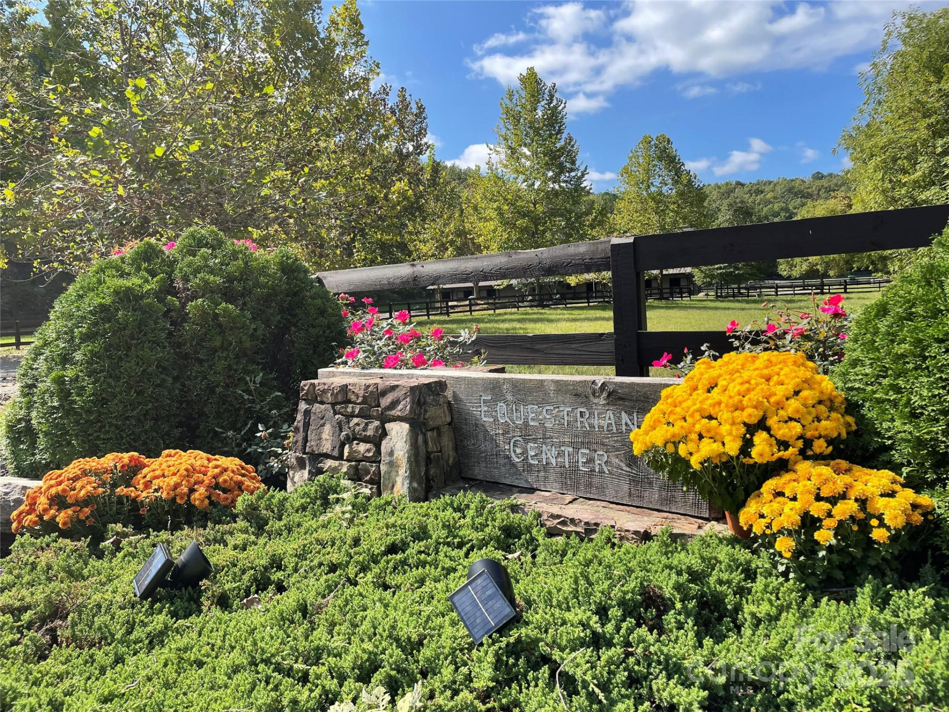 00 Birkdale Drive #159 - Photo 11