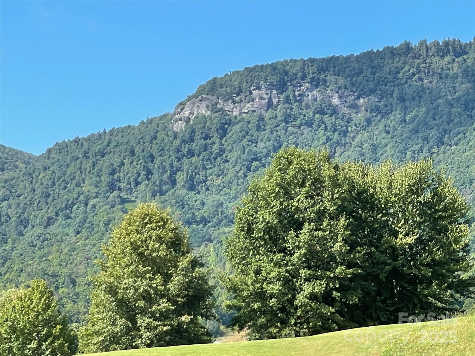 00 Birkdale Drive #159 - Photo 15