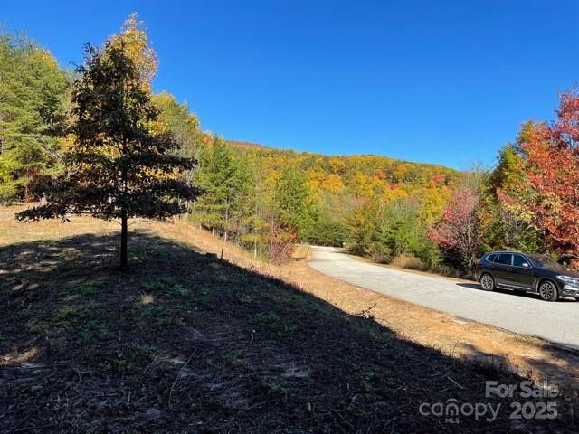 00 Birkdale Drive #159 - Photo 16