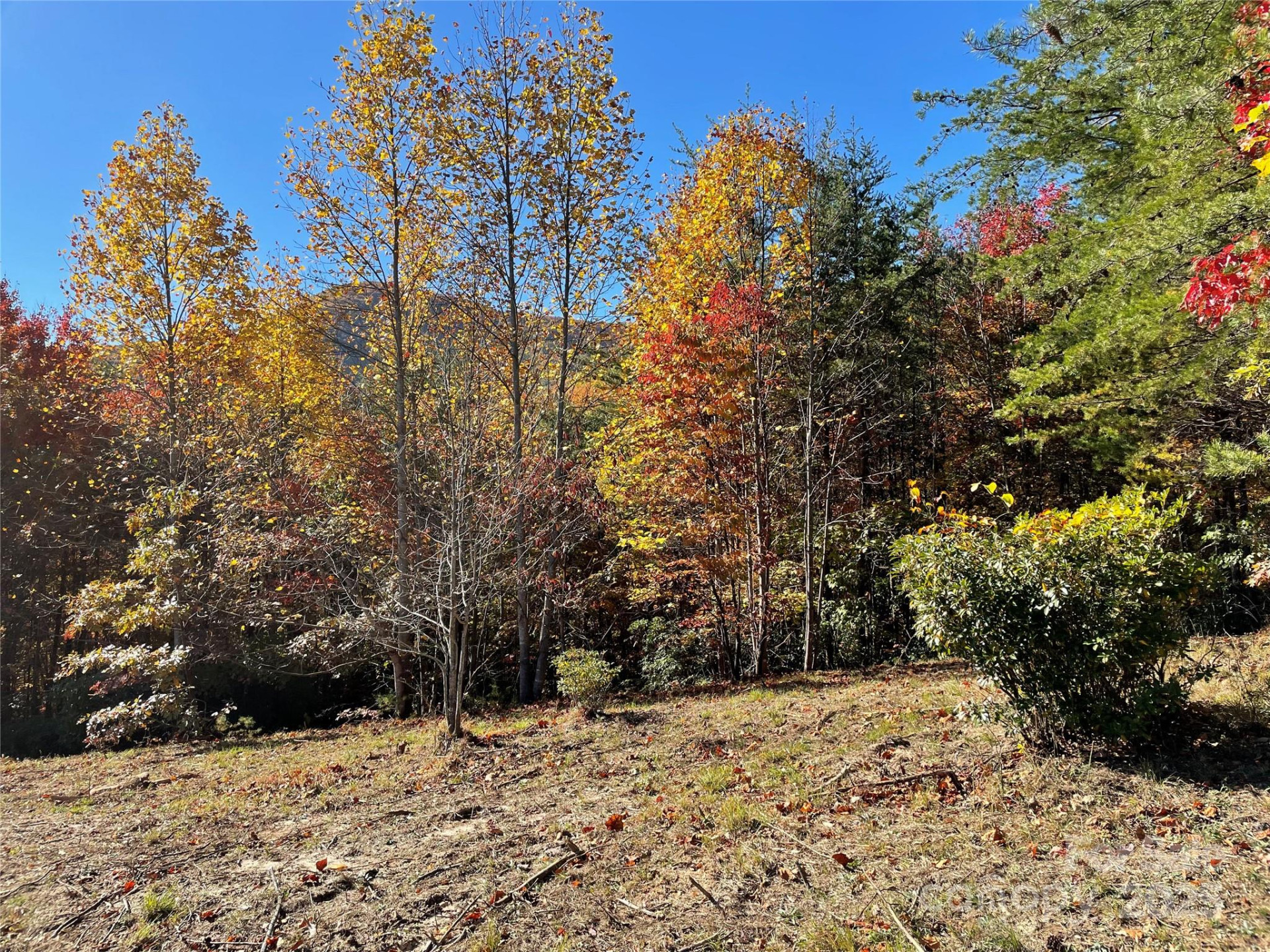 00 Birkdale Drive #159 - Photo 17