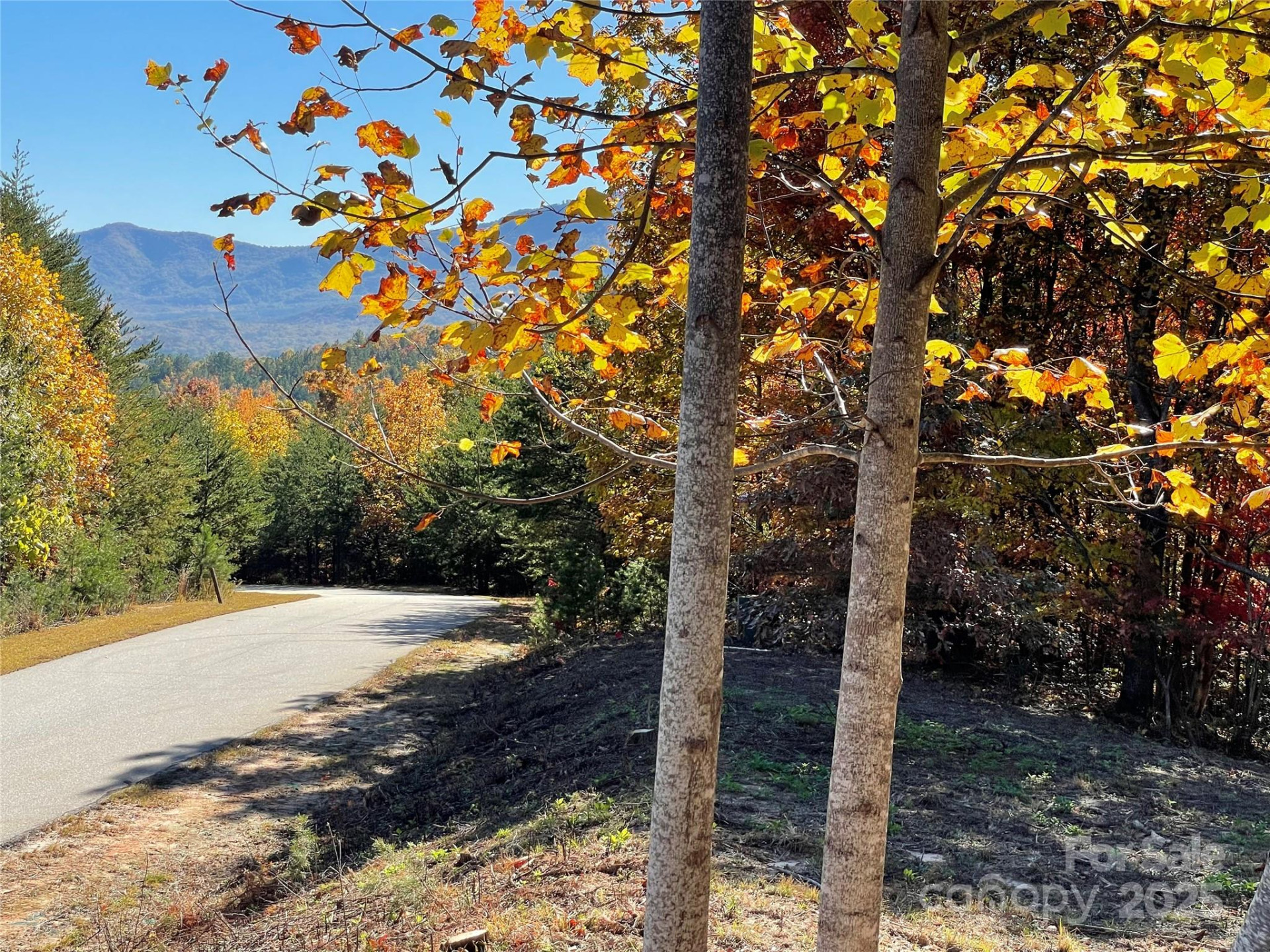 00 Birkdale Drive #159 - Photo 18