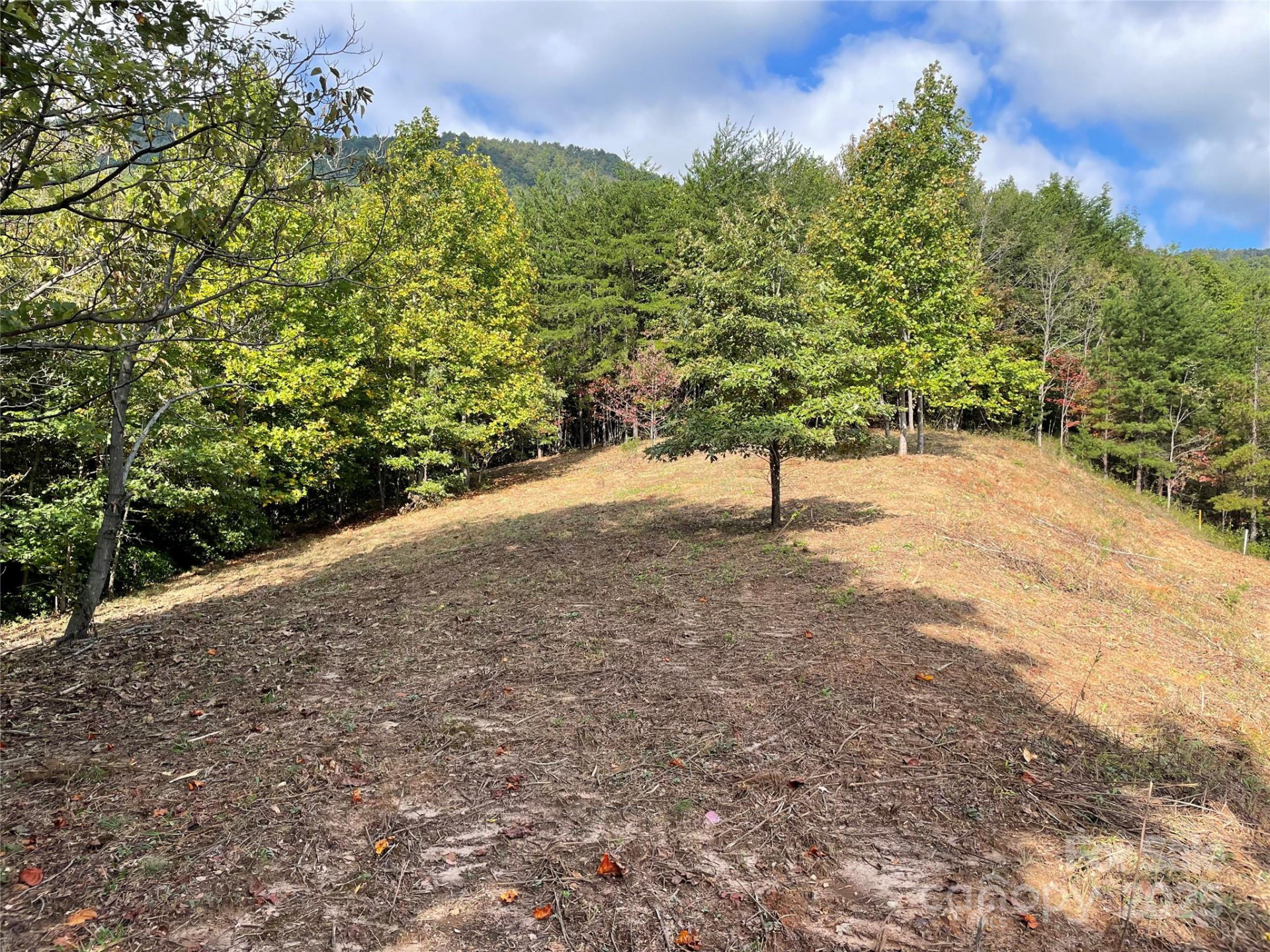 00 Birkdale Drive #159 - Photo 3