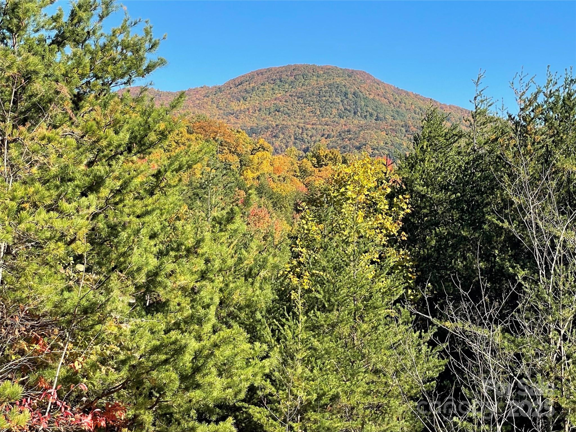 00 Birkdale Drive #159 - Photo 5