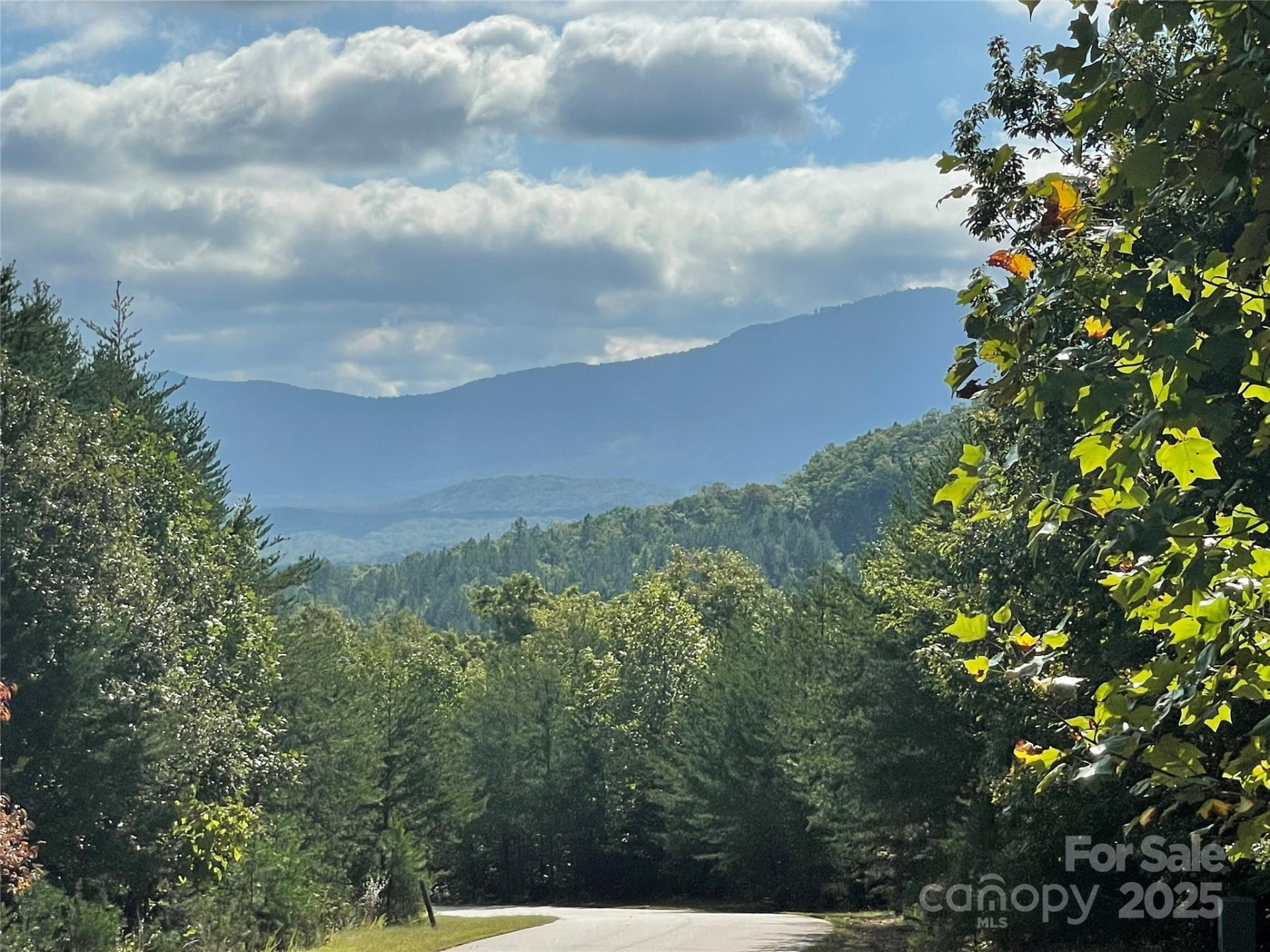 00 Birkdale Drive #159 - Photo 6