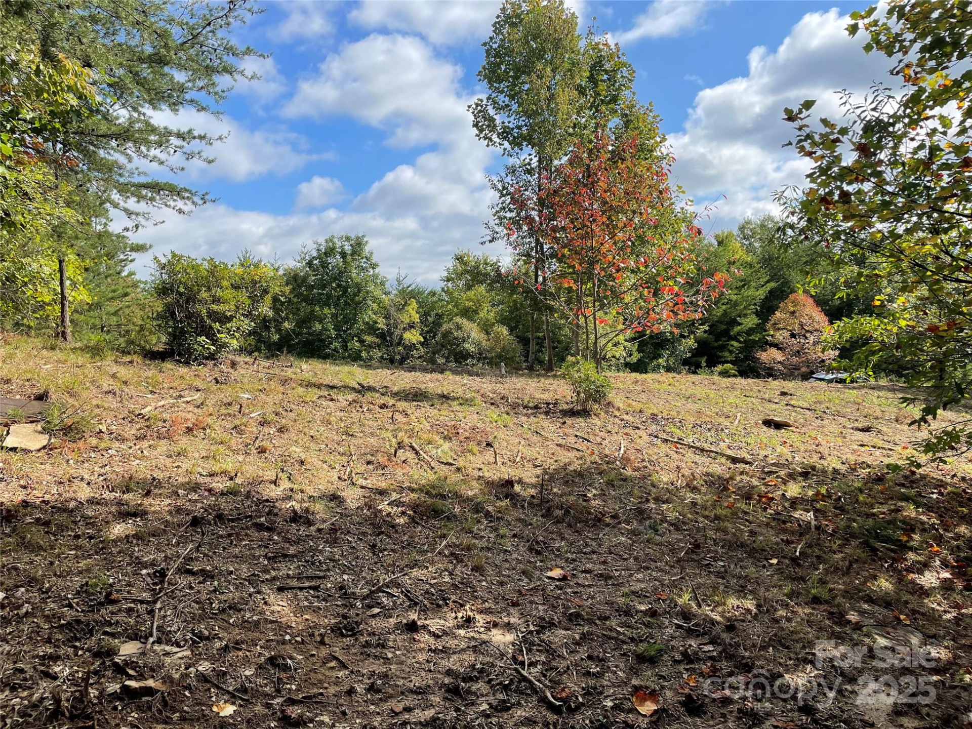 00 Birkdale Drive #159 - Photo 7