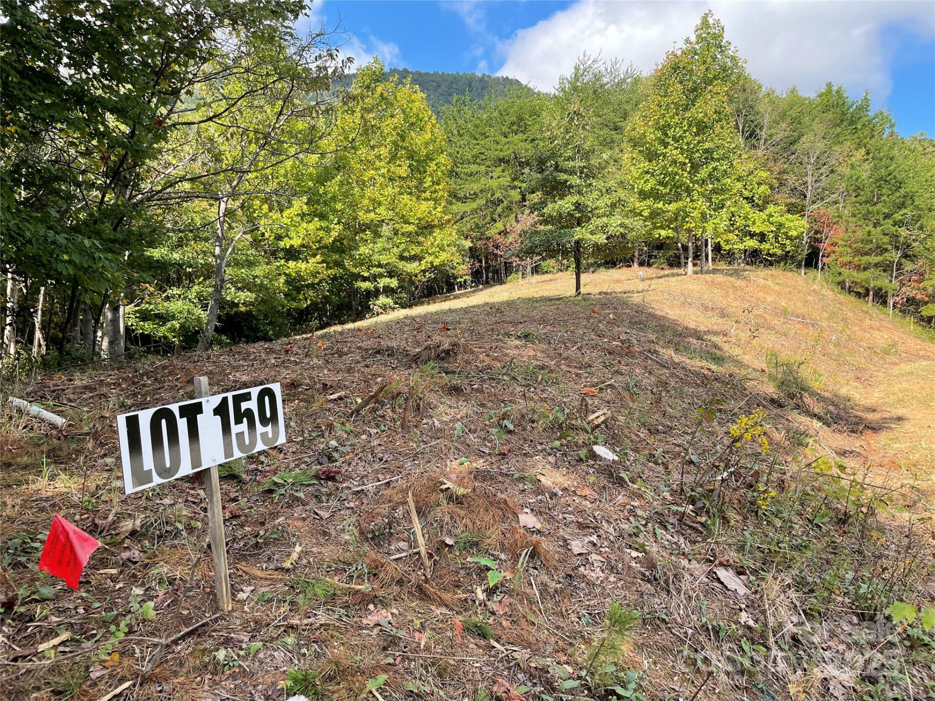 00 Birkdale Drive #159 - Photo 8