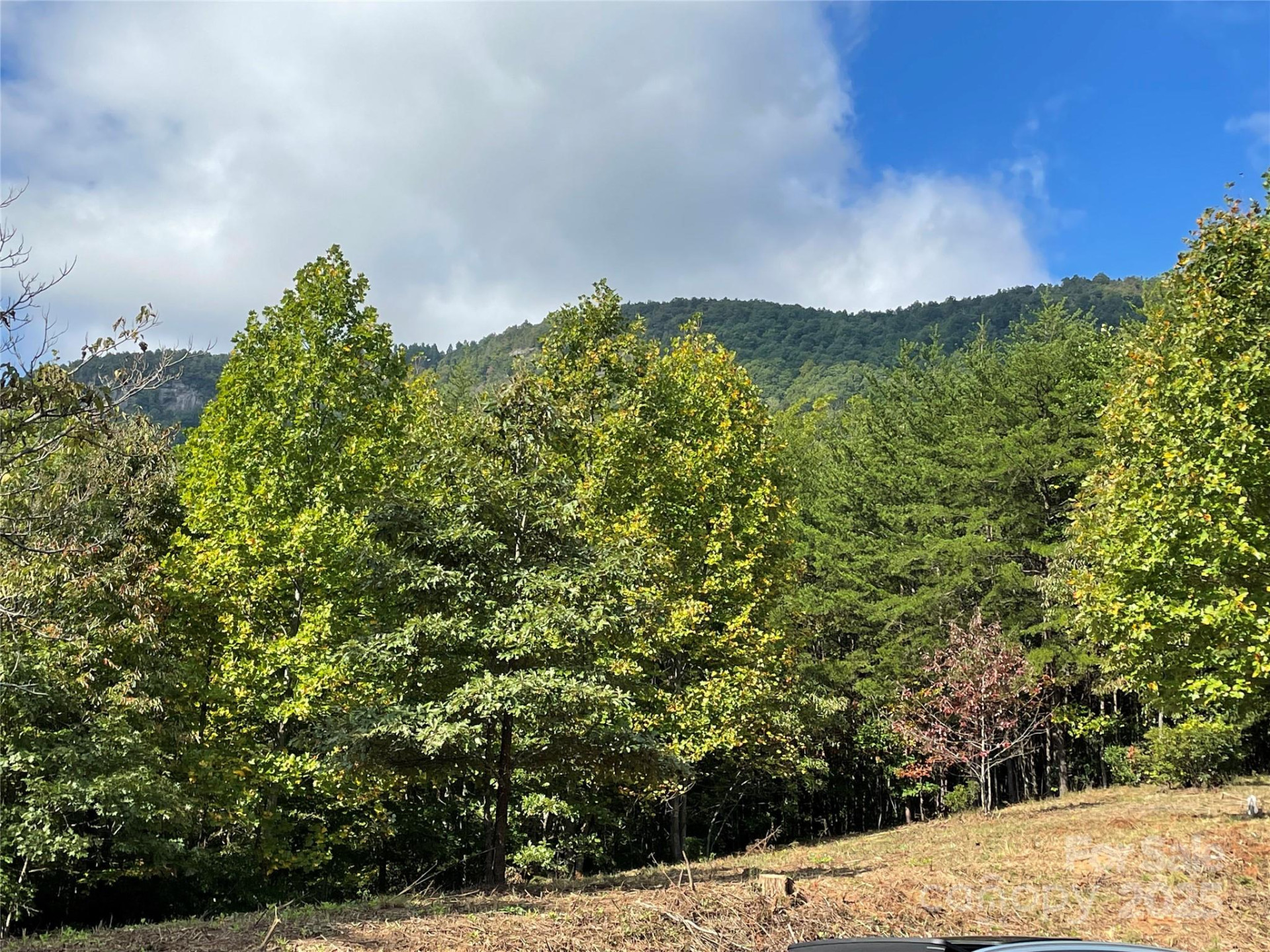 00 Birkdale Drive #159 - Photo 10