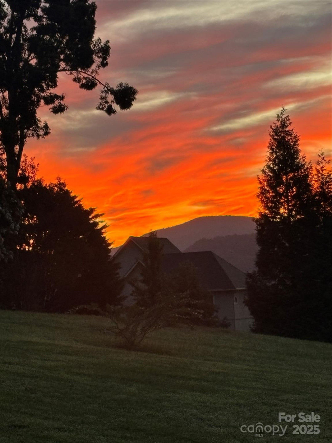 2637 Bowden Lane - Photo 7