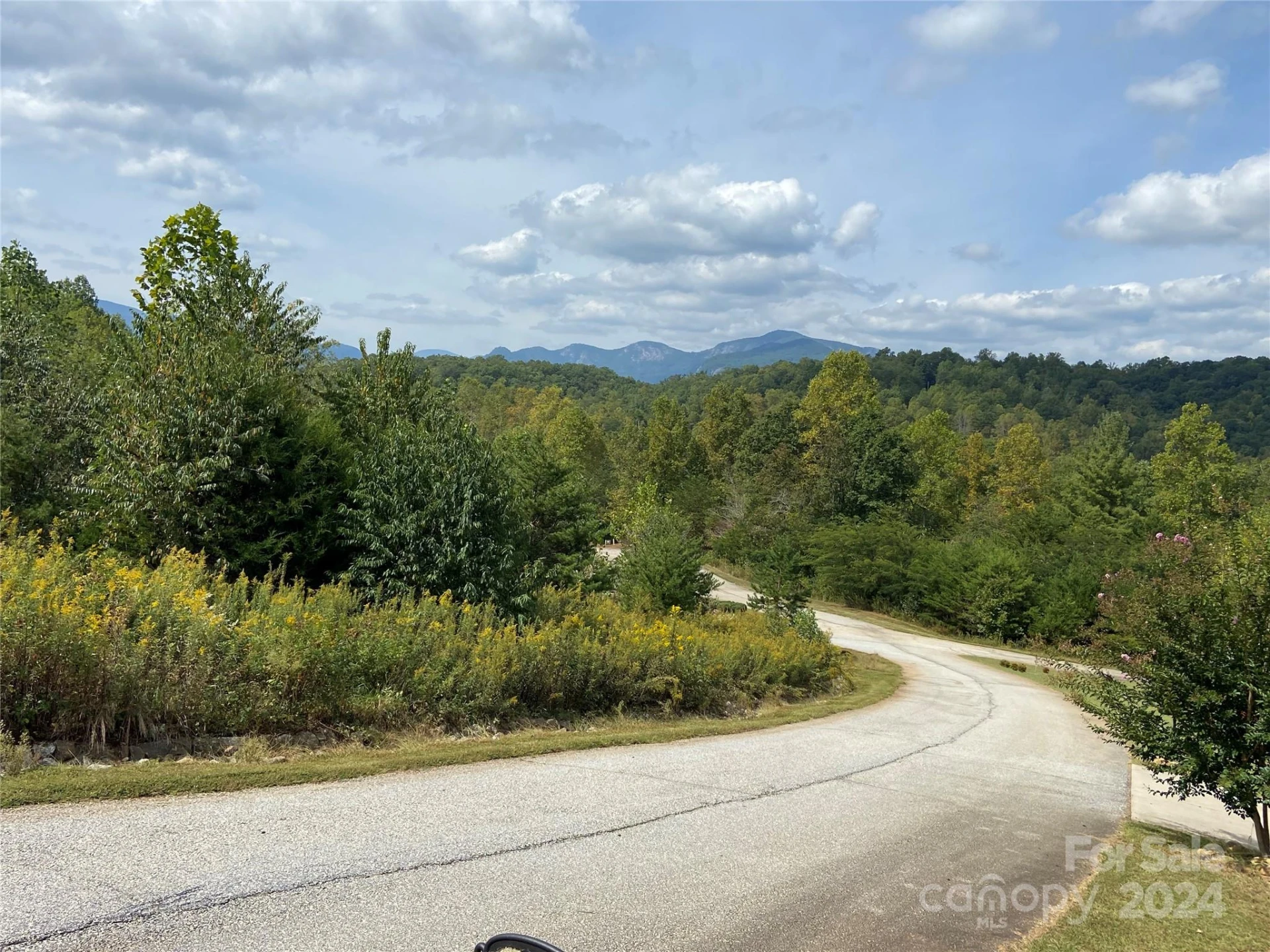 0 Willow Top Lane #311