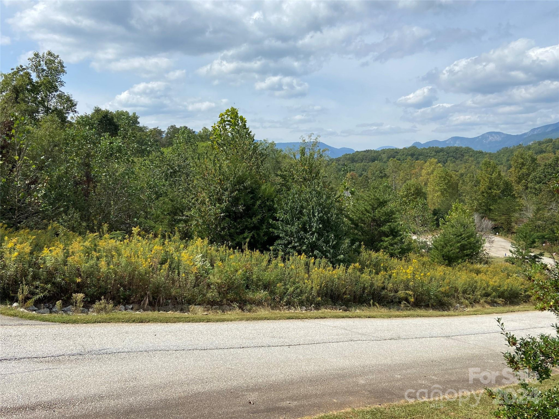 0 Willow Top Lane #311 - Photo 2