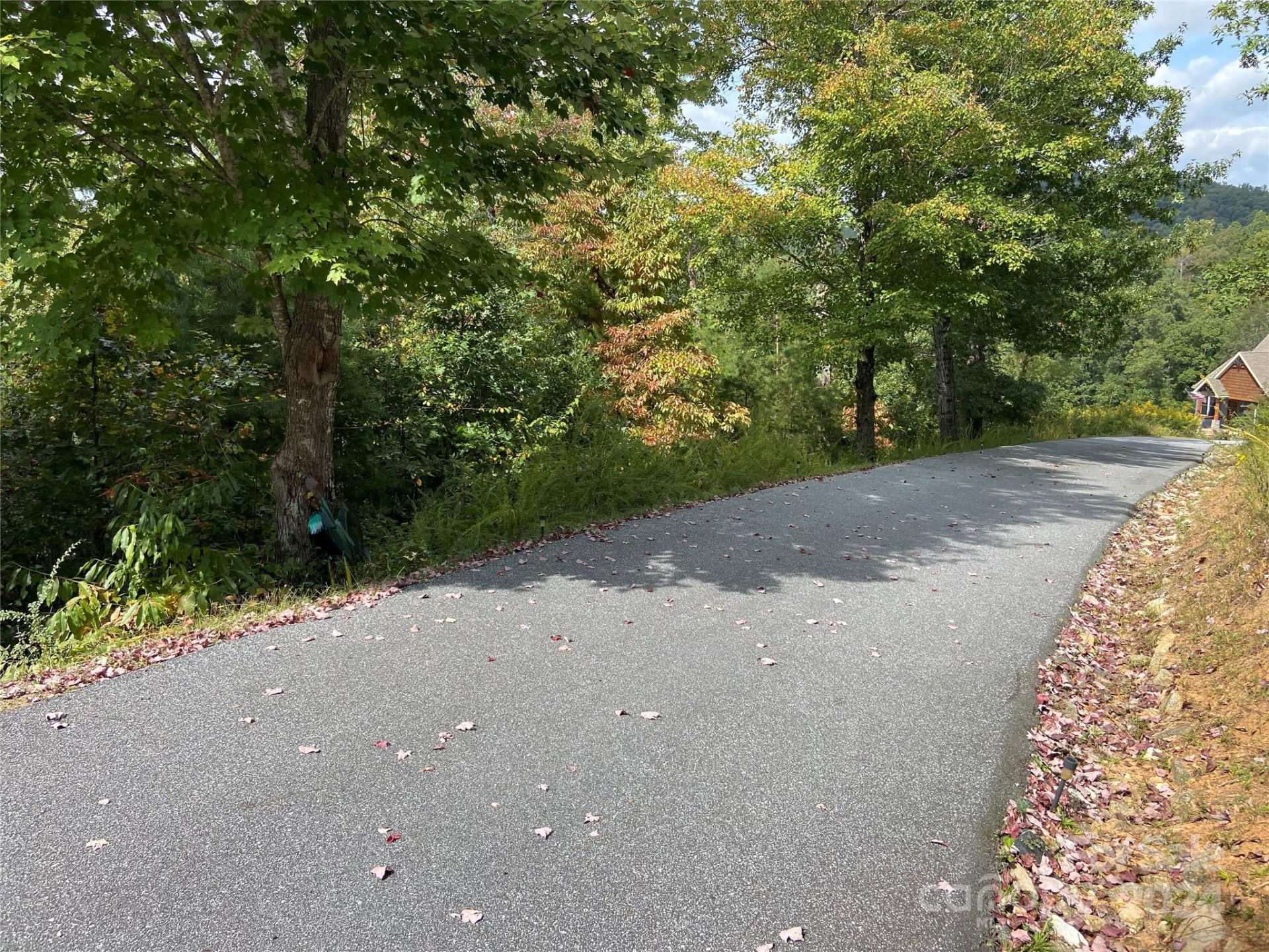 0 Willow Top Lane #311 - Photo 3