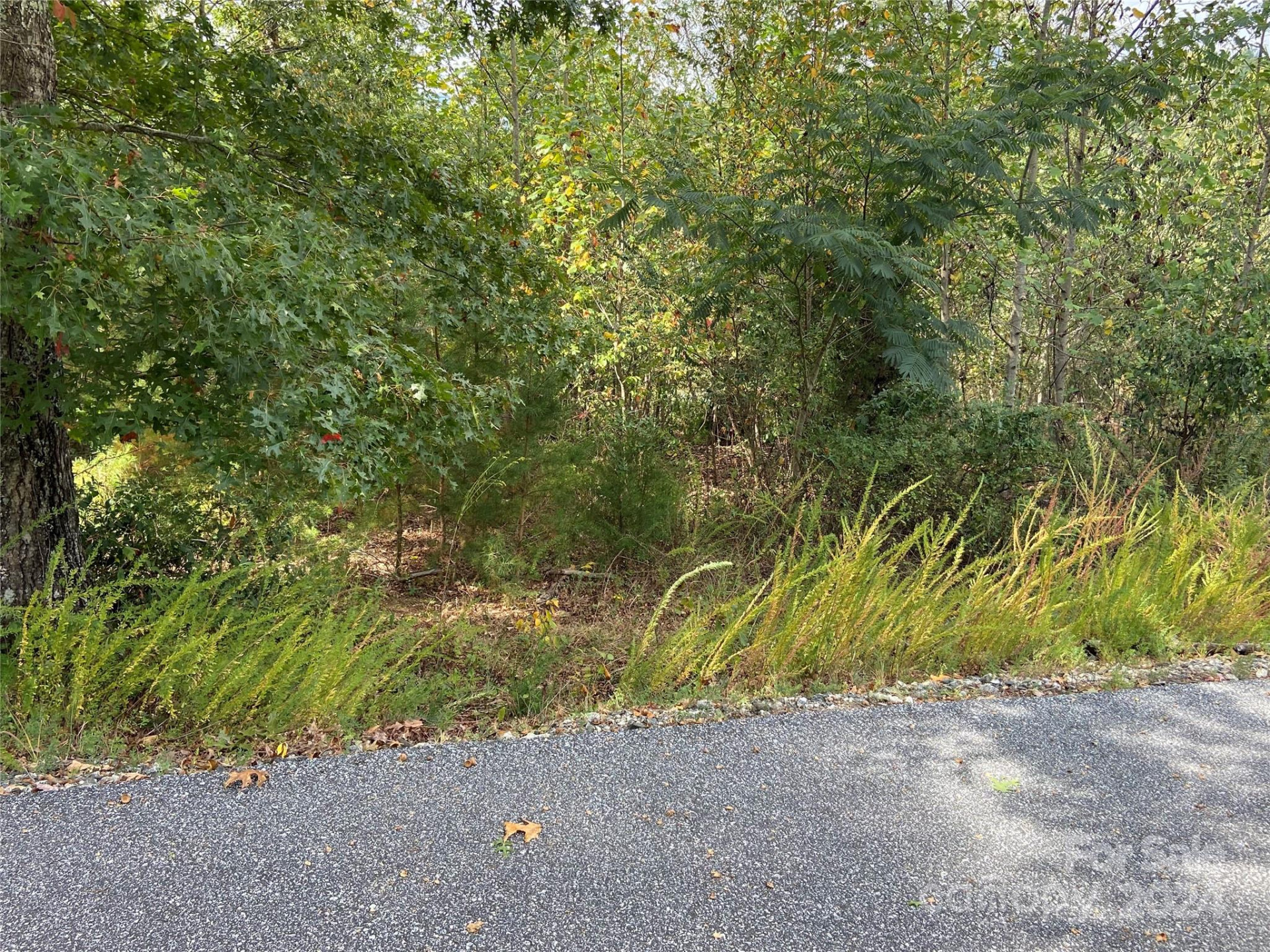 0 Willow Top Lane #311 - Photo 4