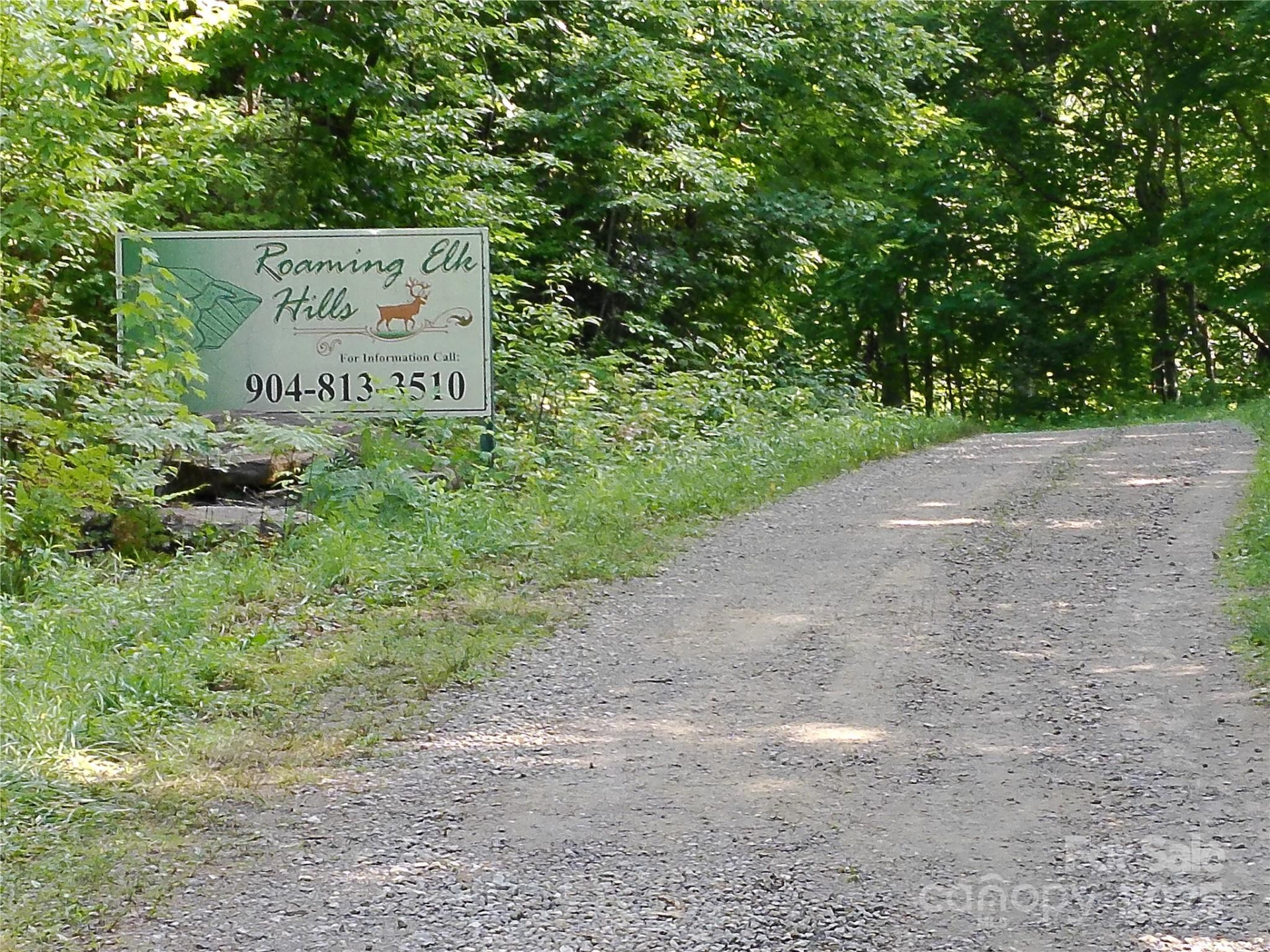 00 Yonah Trail #7 - Photo 2