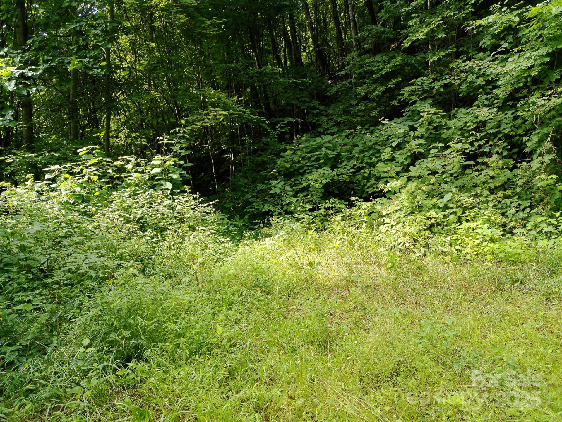 00 Yonah Trail #7 - Photo 12