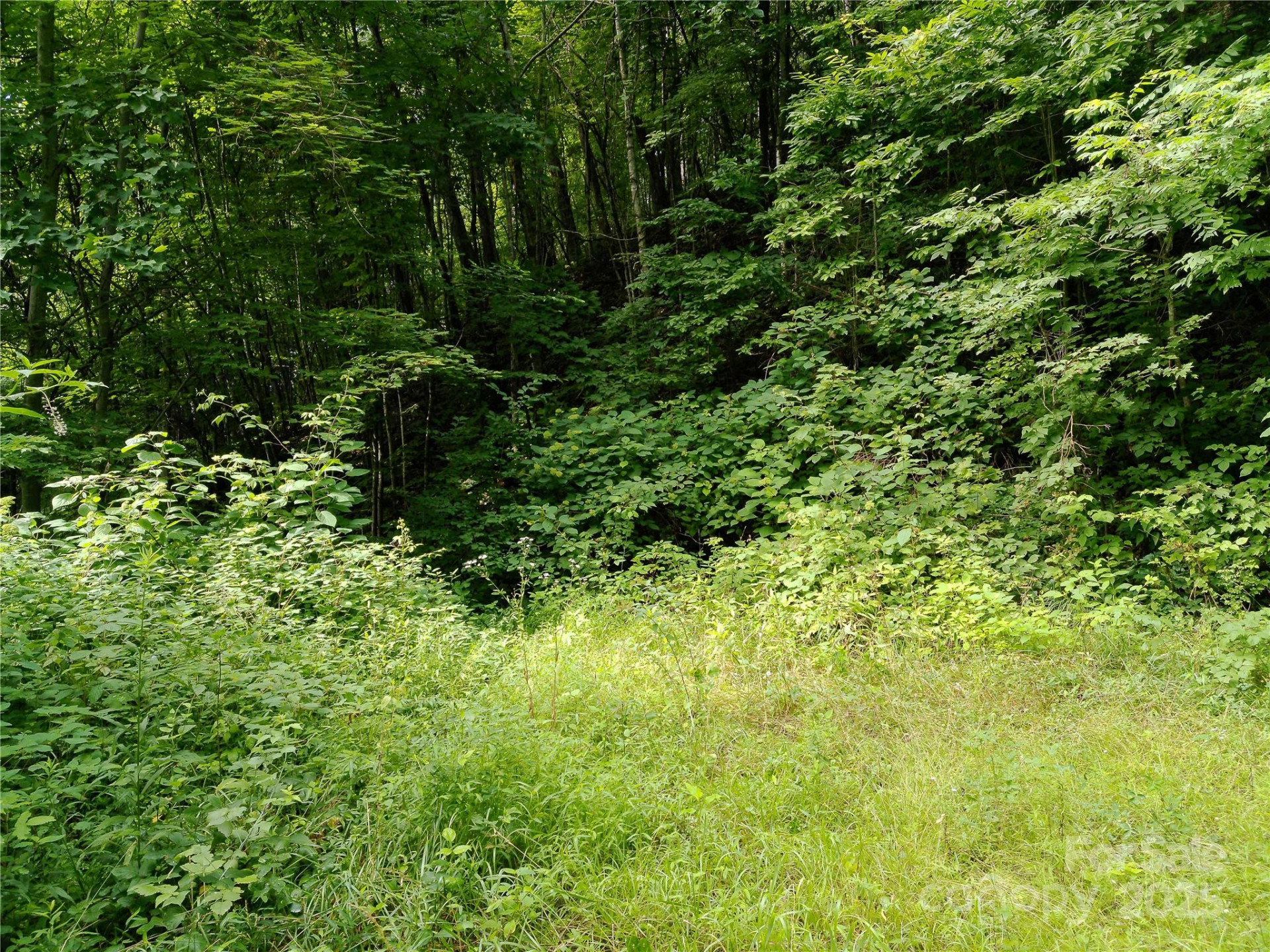 00 Yonah Trail #7 - Photo 13