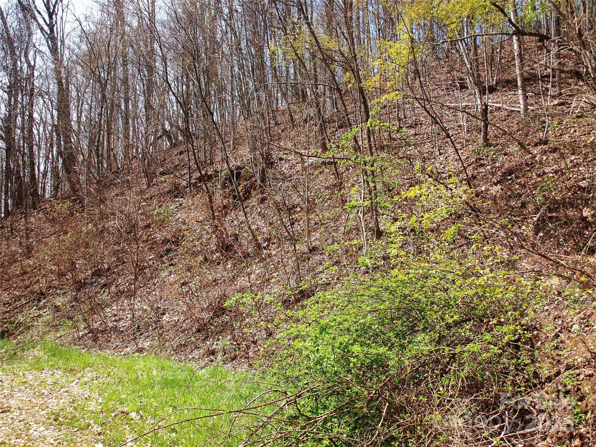 00 Yonah Trail #7 - Photo 14