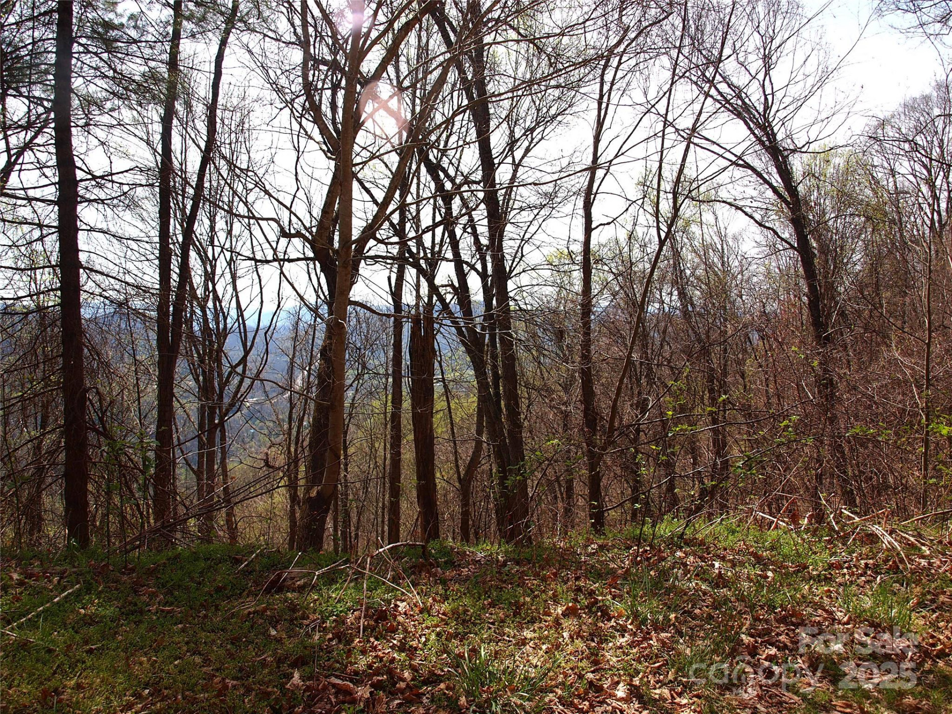 00 Yonah Trail #7 - Photo 15