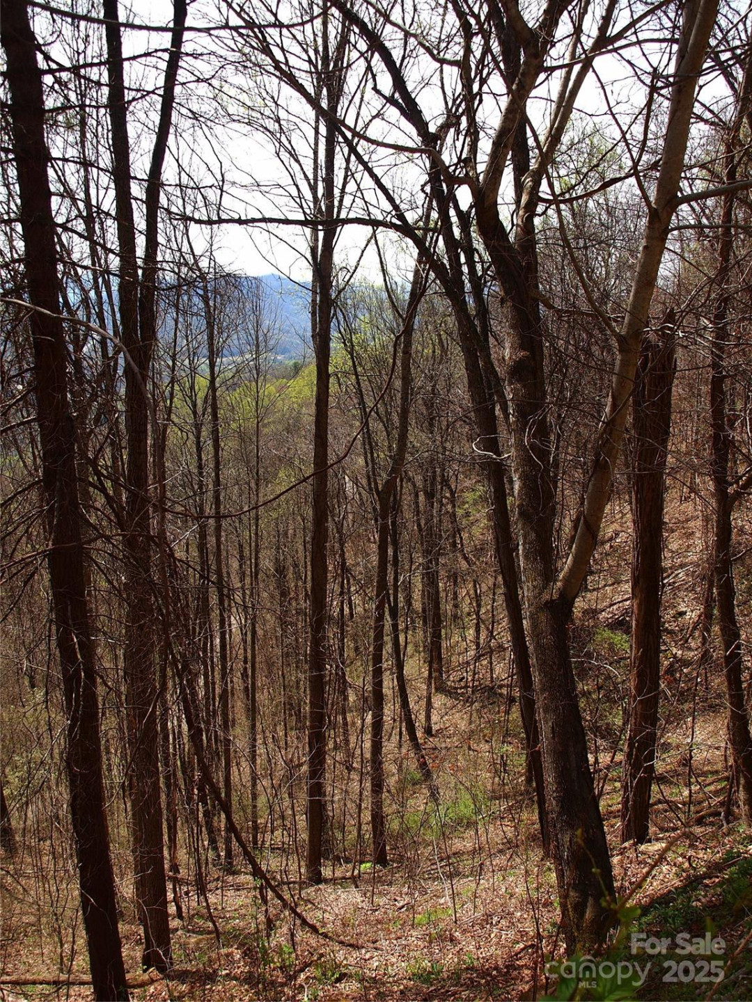 00 Yonah Trail #7 - Photo 16