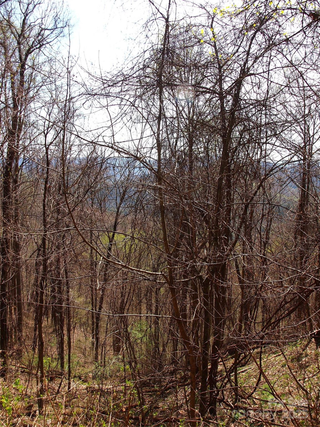 00 Yonah Trail #7 - Photo 17