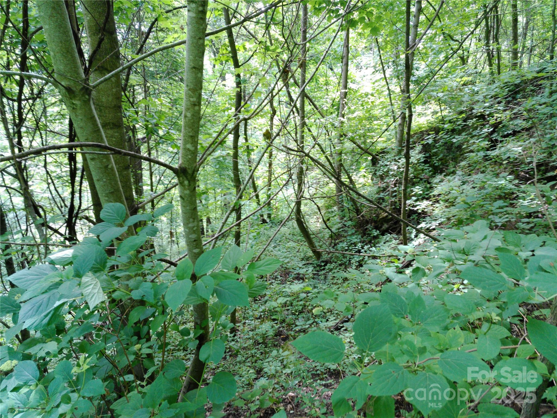 00 Yonah Trail #7 - Photo 8