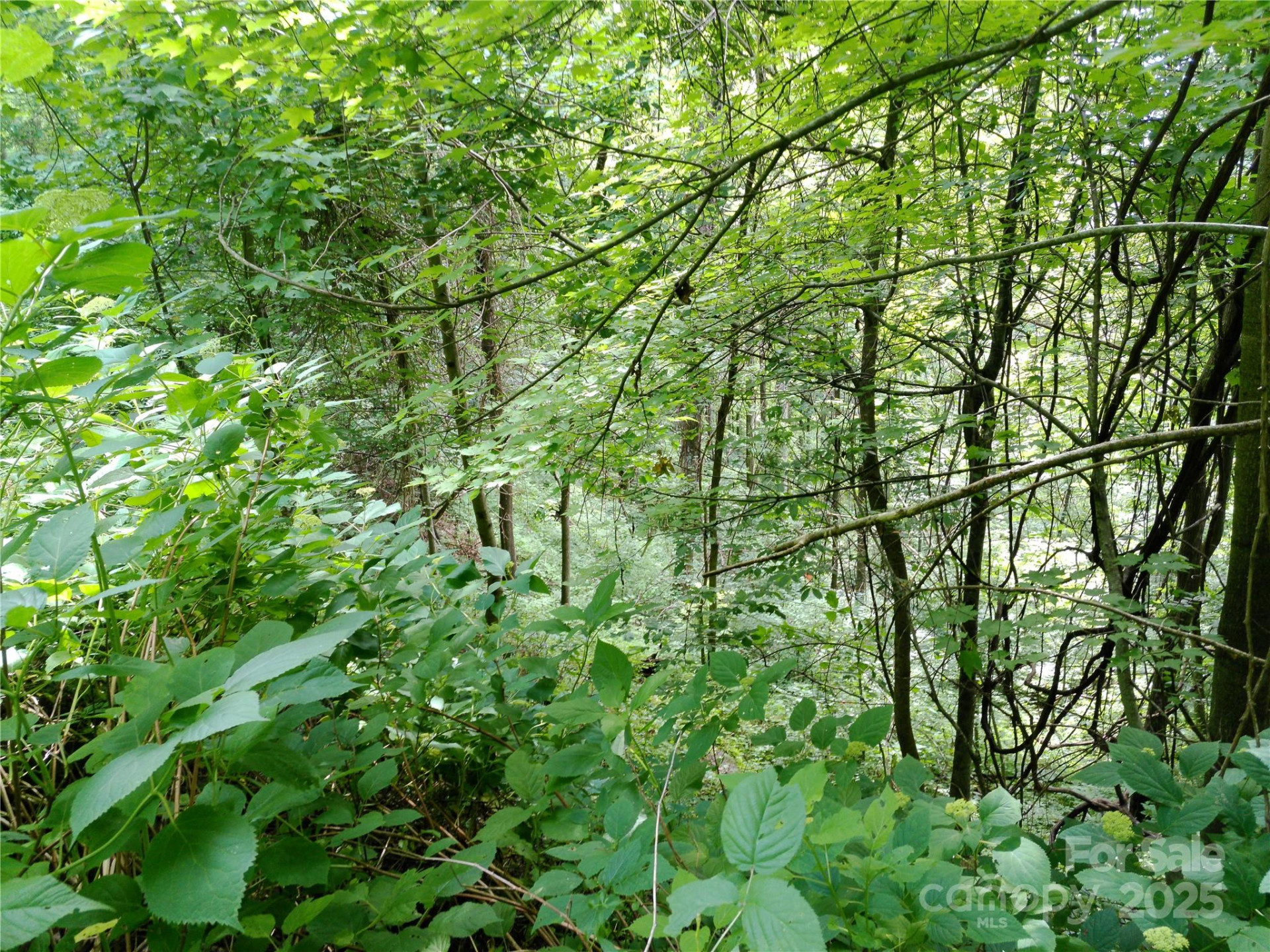 00 Yonah Trail #7 - Photo 9