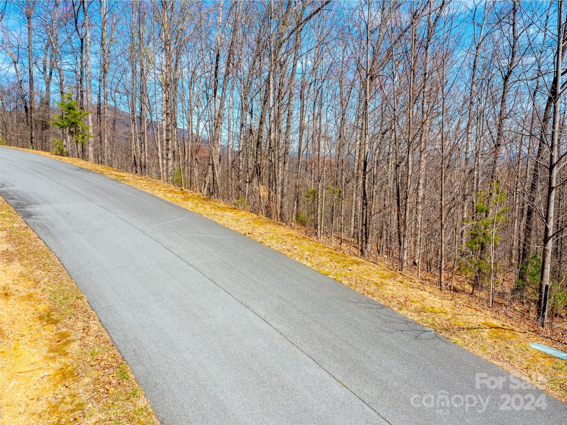 2101 Harm Creek Loop - Photo 11