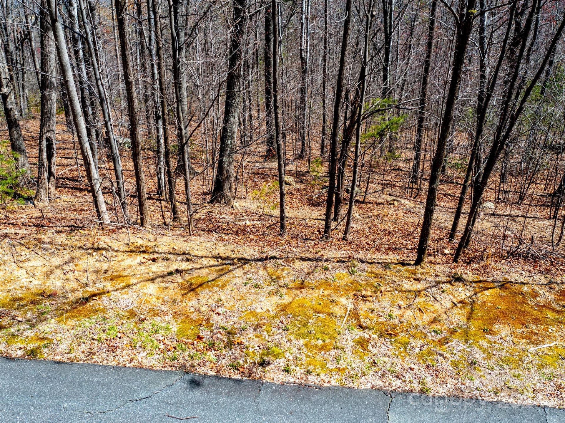 2101 Harm Creek Loop - Photo 12