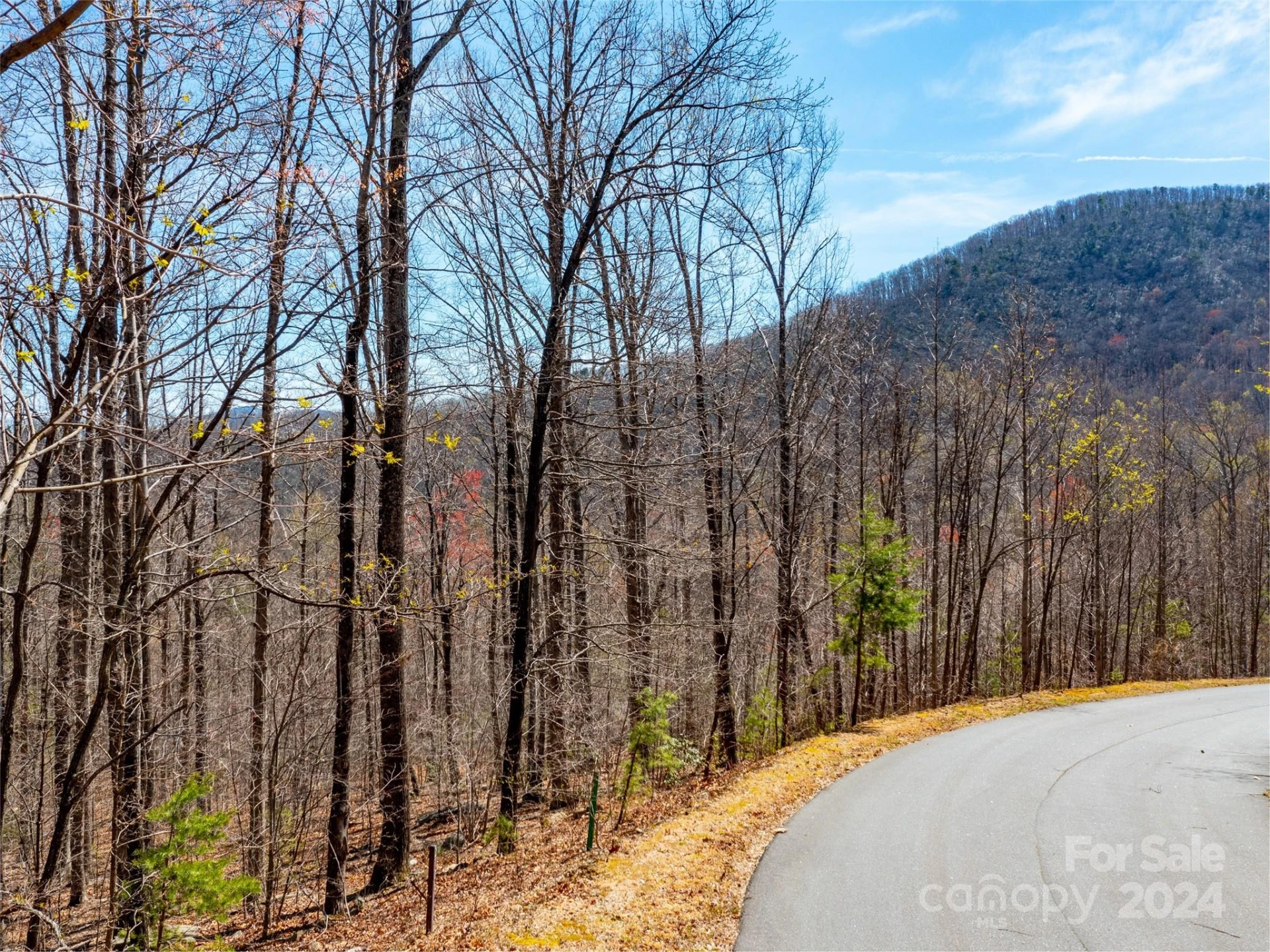 2101 Harm Creek Loop - Photo 13