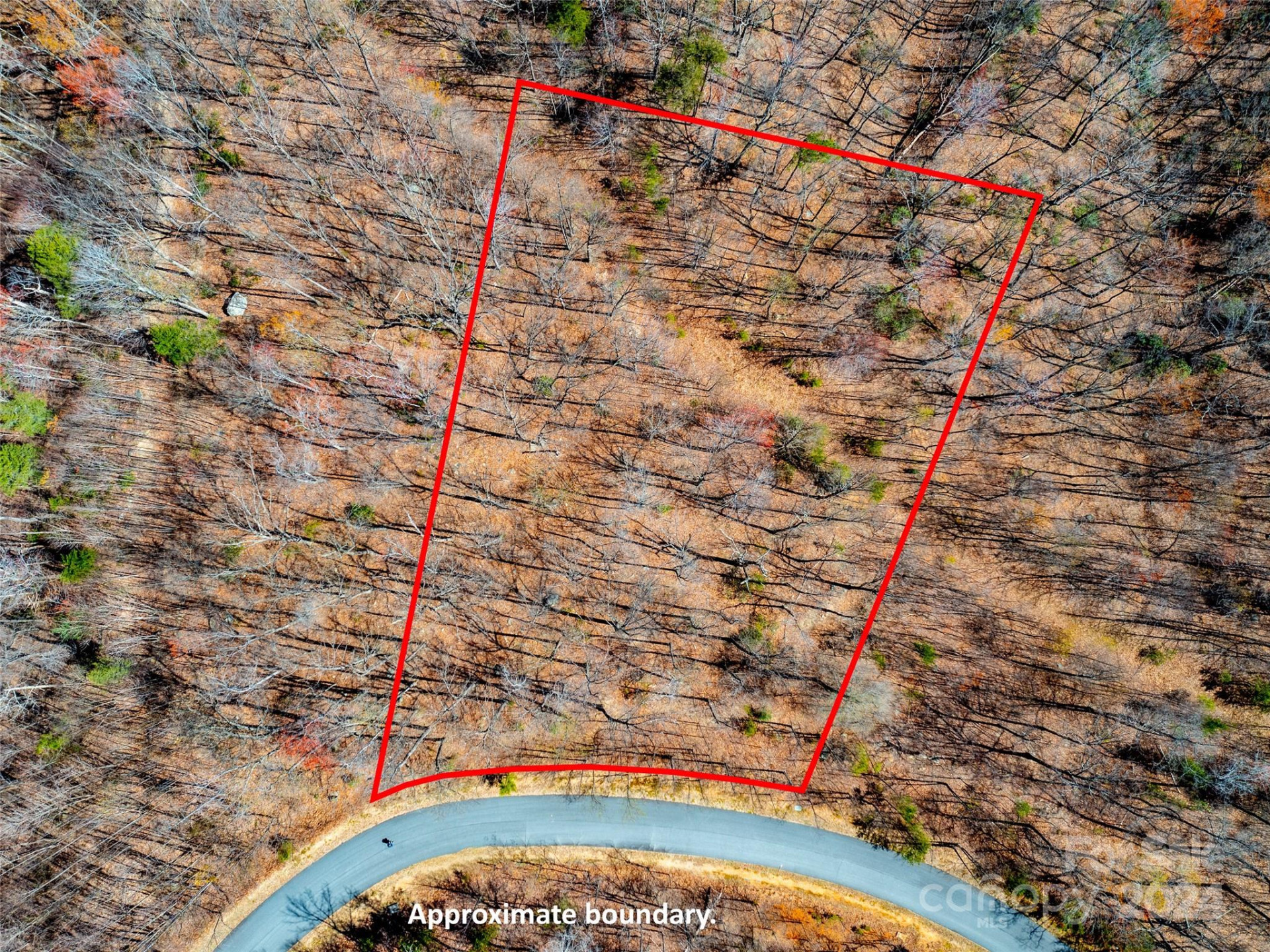 2101 Harm Creek Loop - Photo 9