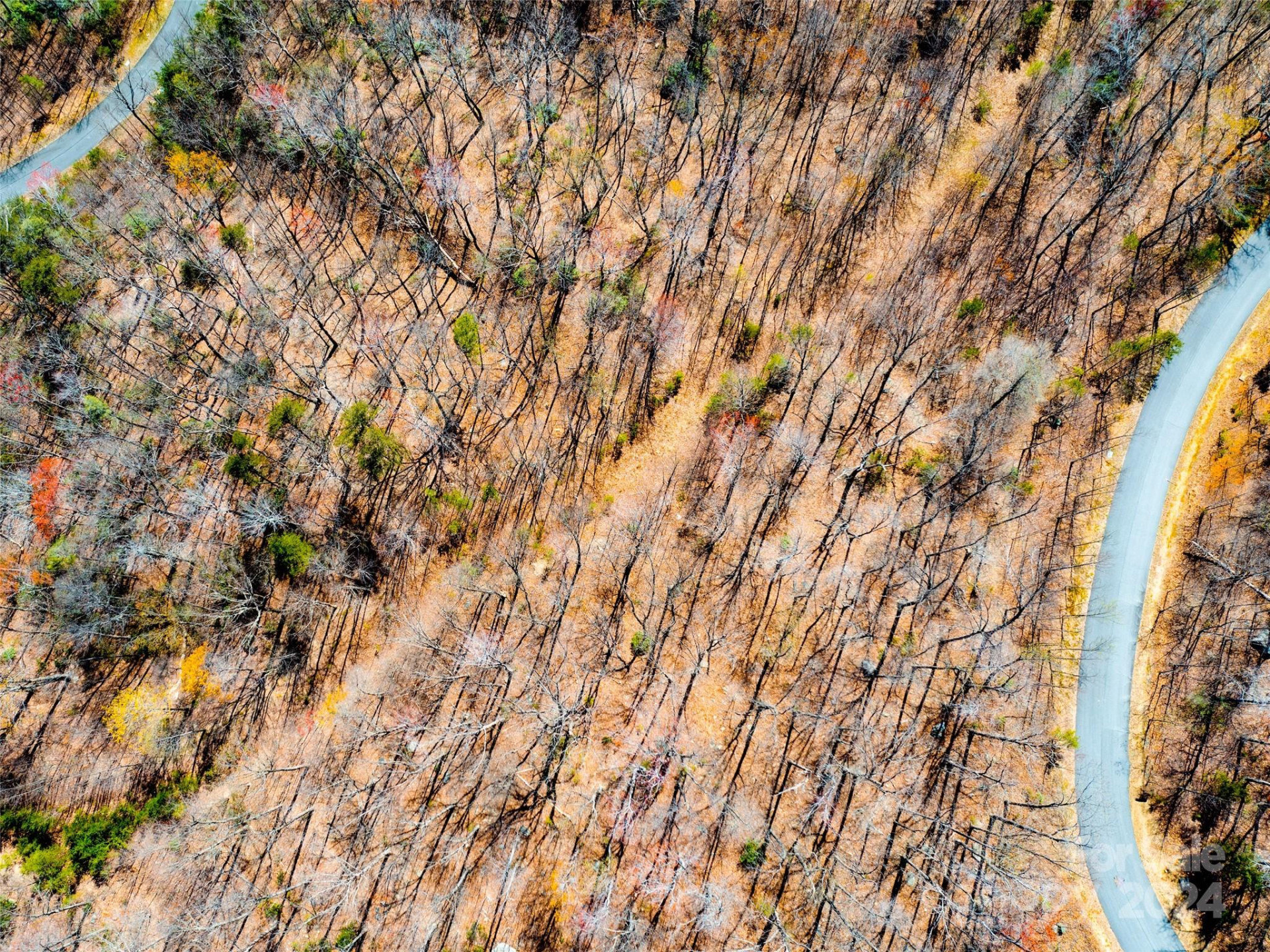 2101 Harm Creek Loop - Photo 10