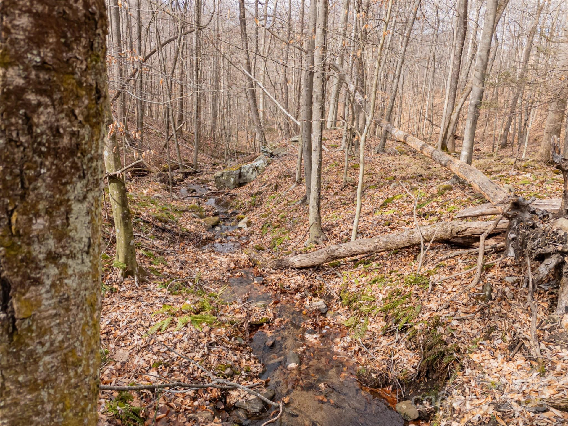 522 & 528 Blue Mist Way - Photo 11