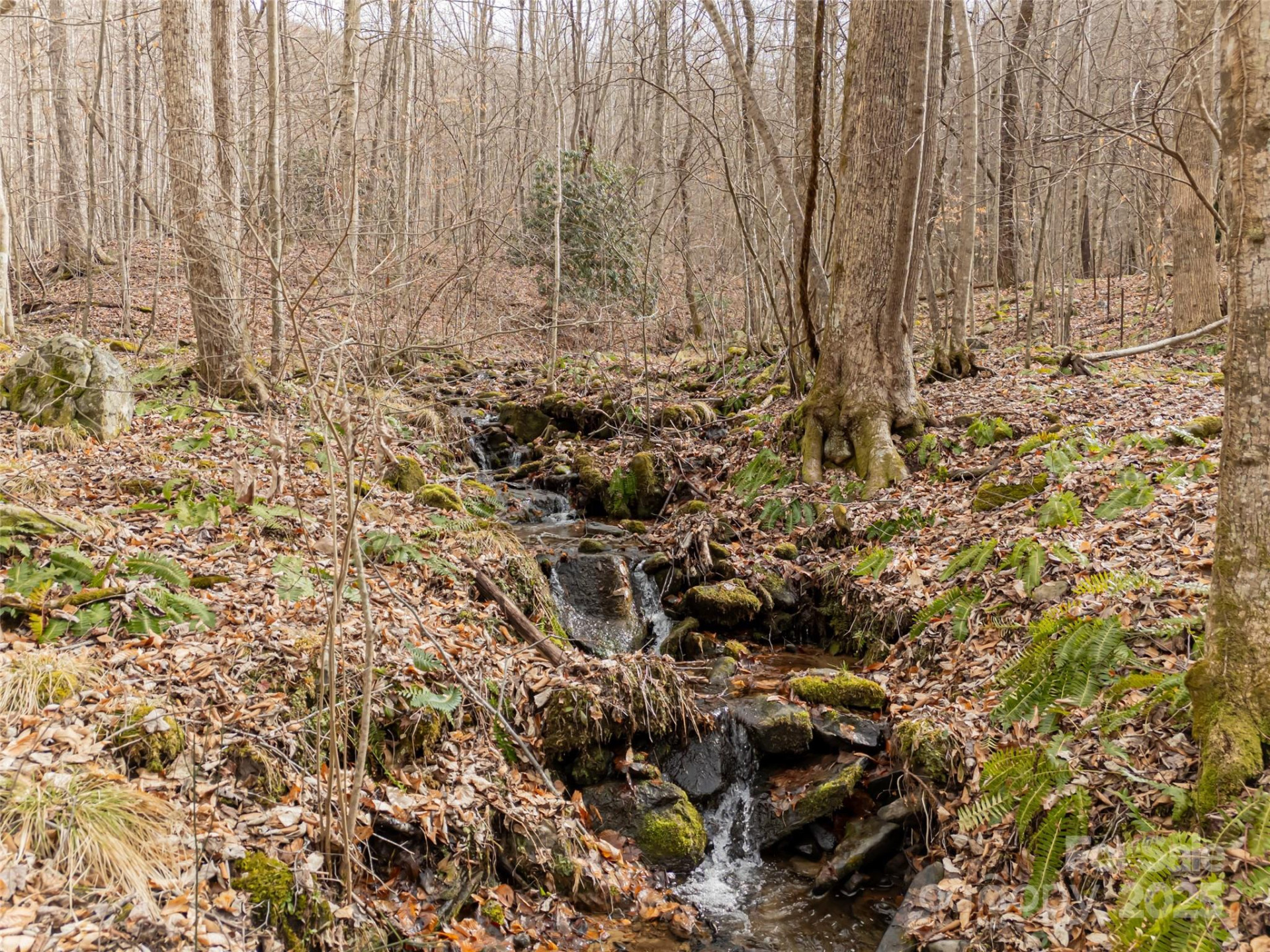 522 & 528 Blue Mist Way - Photo 12