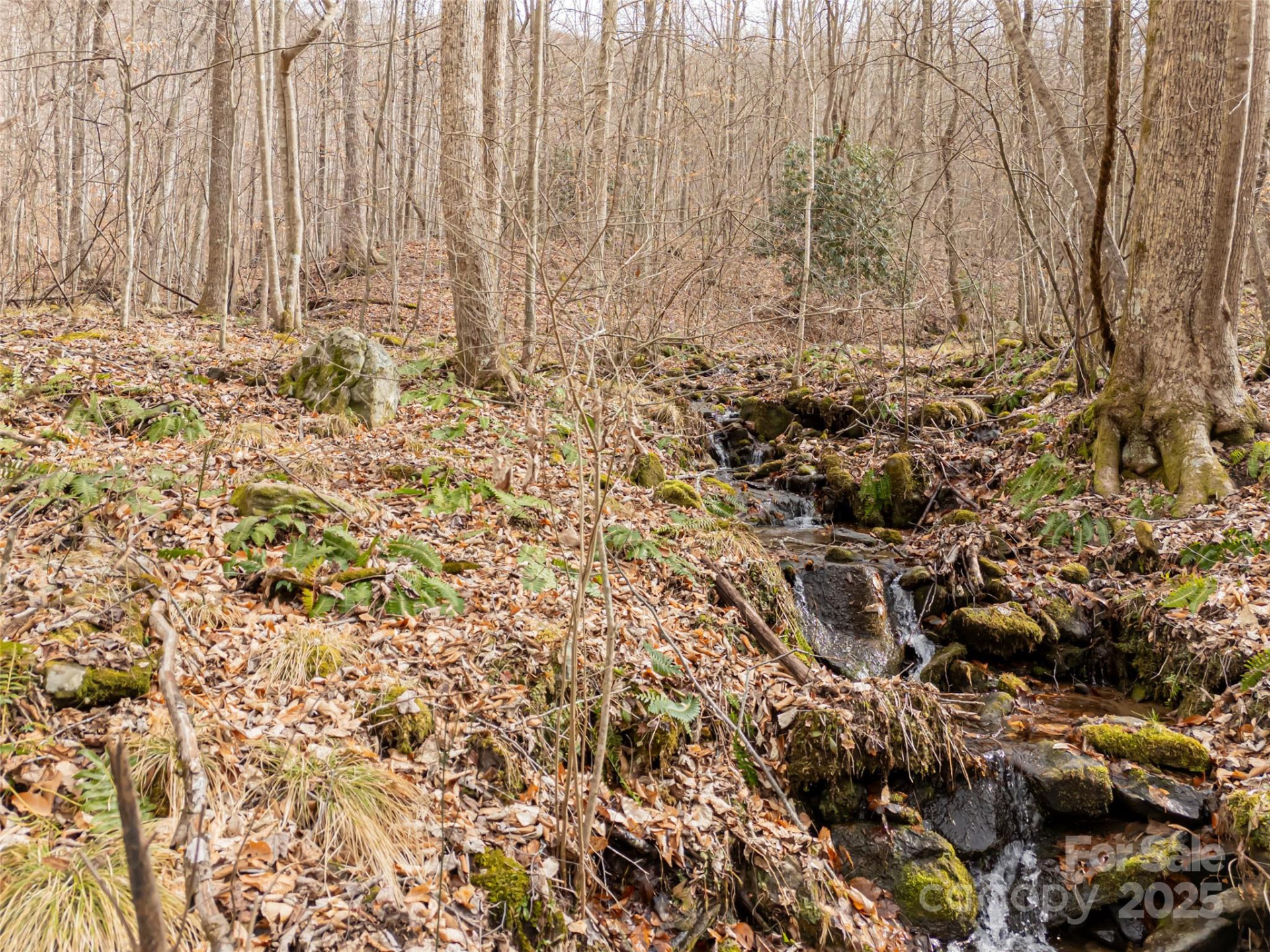 522 & 528 Blue Mist Way - Photo 13