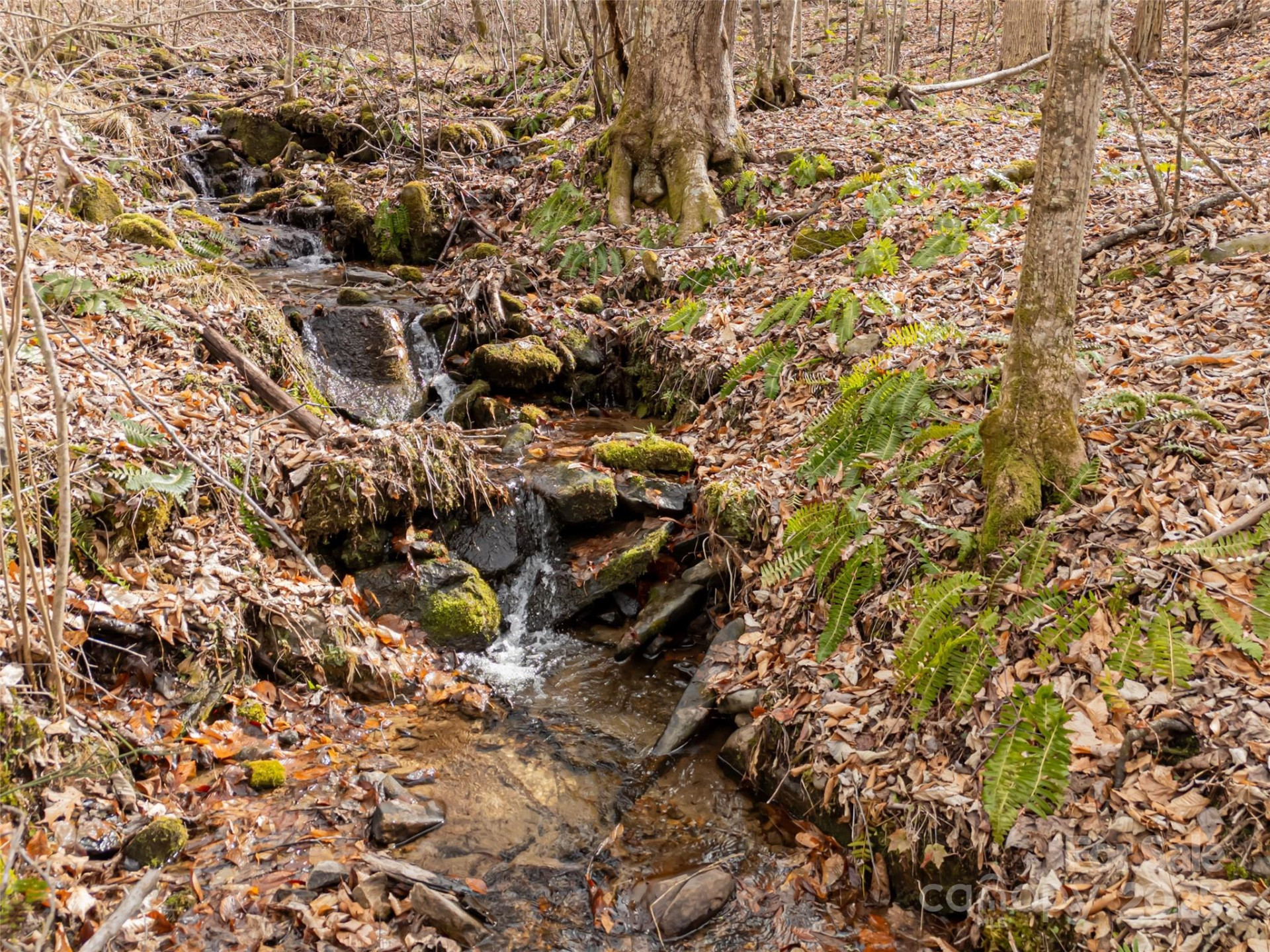 522 & 528 Blue Mist Way - Photo 14