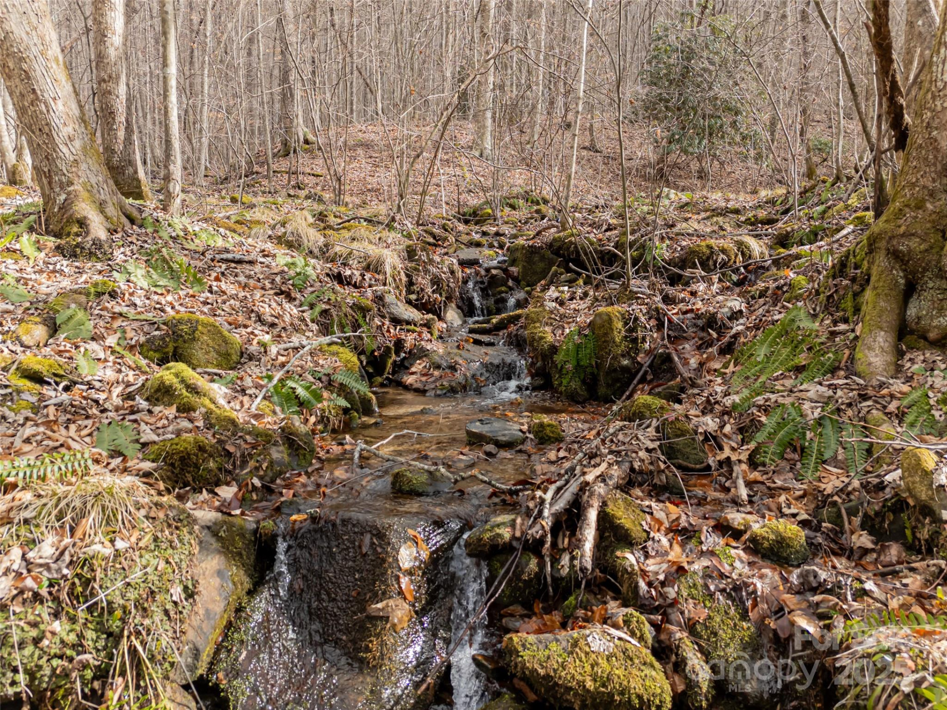 522 & 528 Blue Mist Way - Photo 15